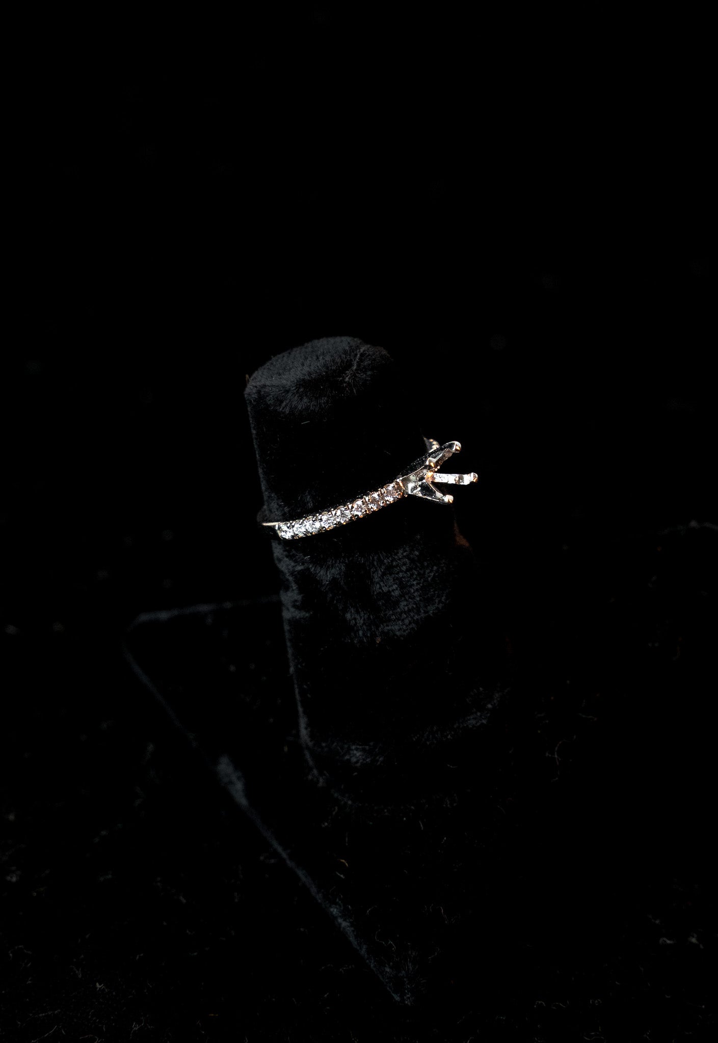 Montura de Anillo Pavé de Oro Blanco con Diamantes