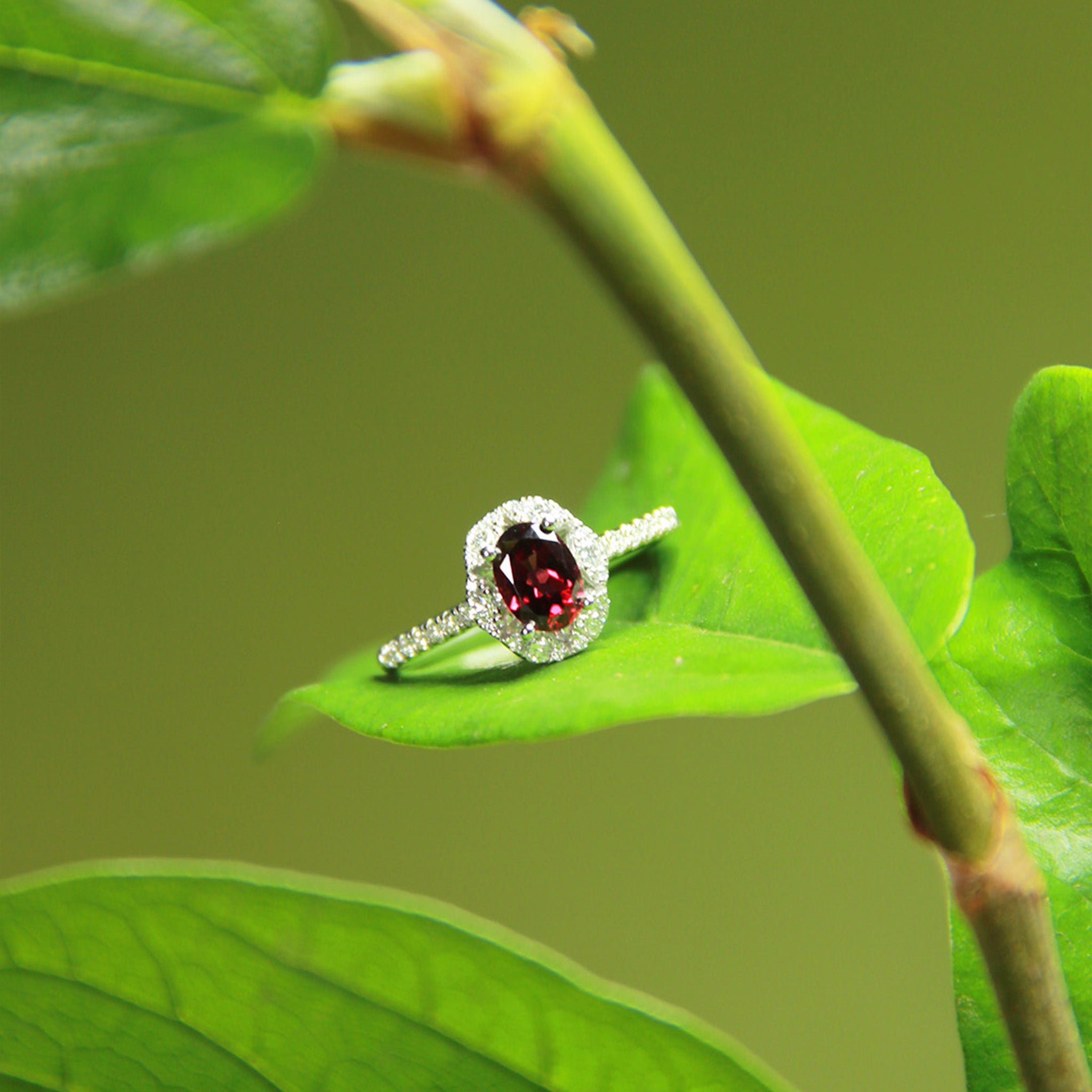 Anillo Granate y Diamantes
